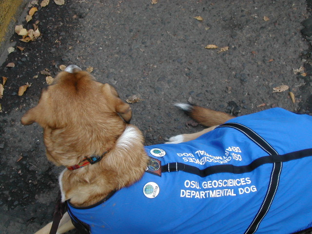 mascot1