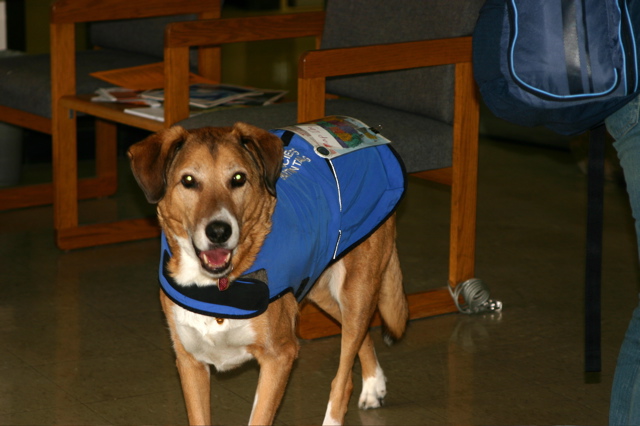 GIS_Greeter